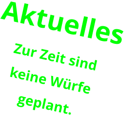 Aktuelles   Zur Zeit sind keine Würfe  geplant.